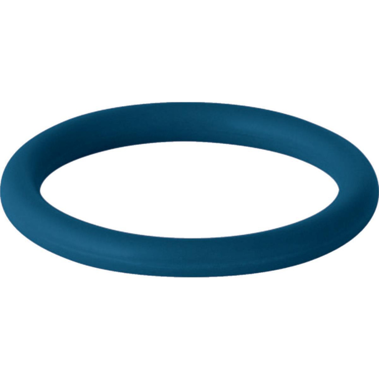 Mapress Dichtring FKM blau d28mm